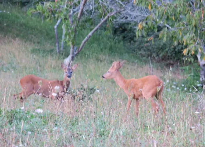 Lalande-laborie Отель типа 
